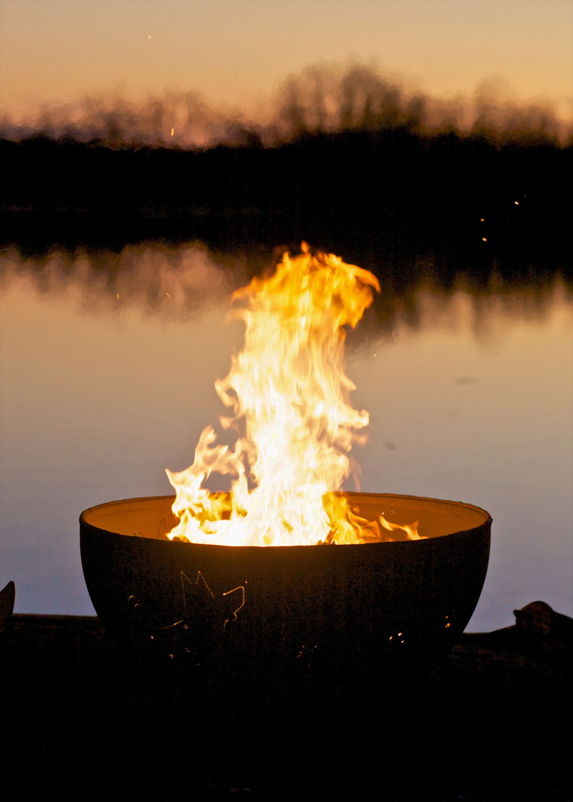 Fire Pit Art Funky Dog Fire Pit