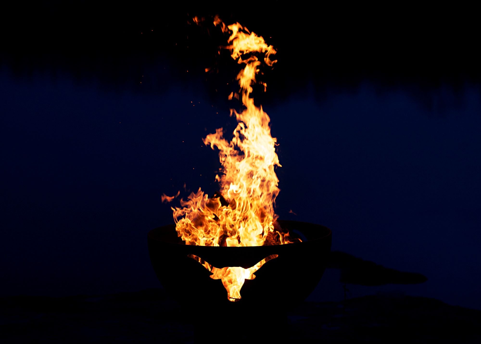Fire Pit Art Long Horn Fire Pit