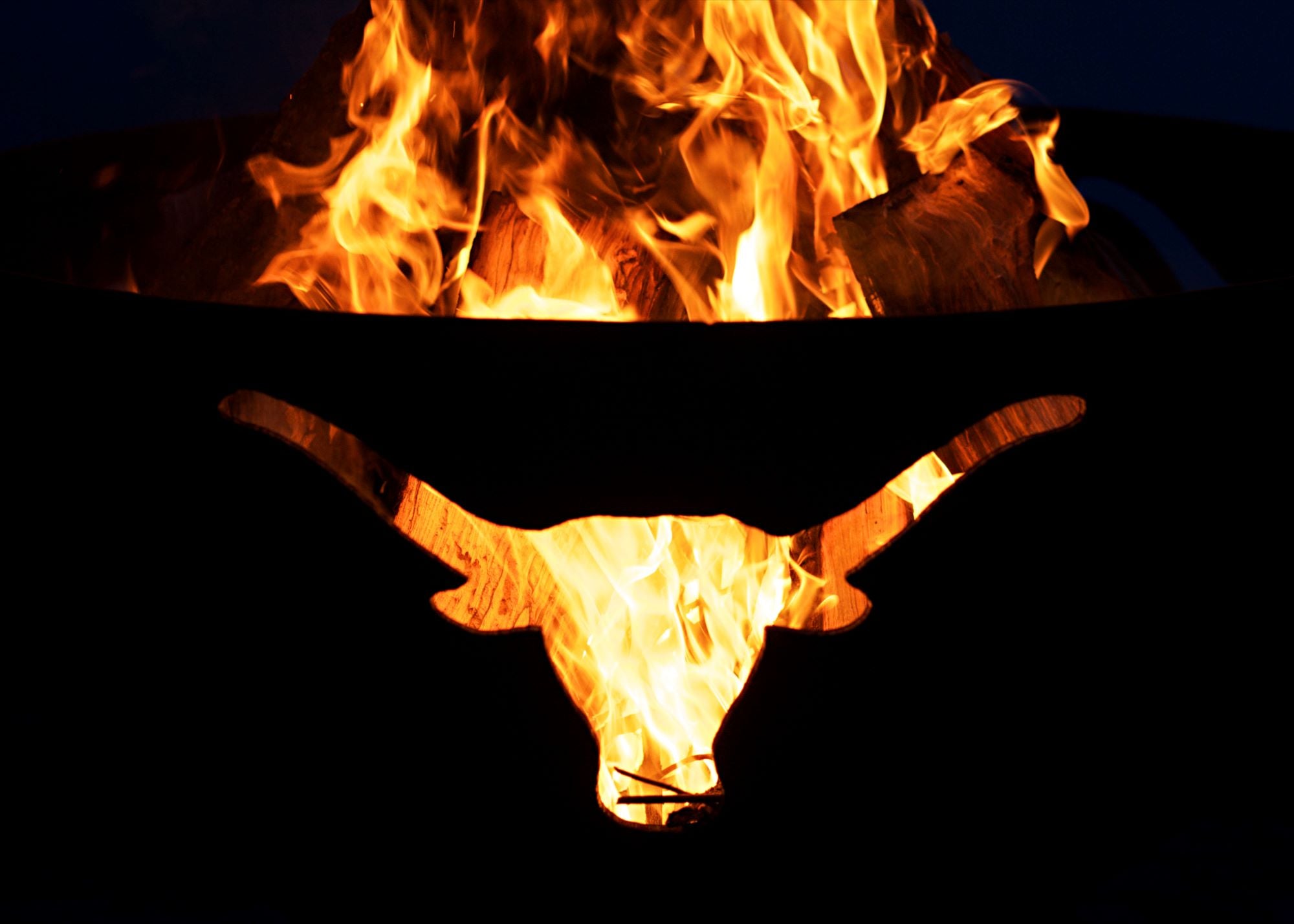 Fire Pit Art Long Horn Fire Pit