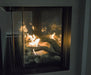 Sierra Flame Lyon 48" 4 Sided See Through Natural Gas Fireplace- Close up